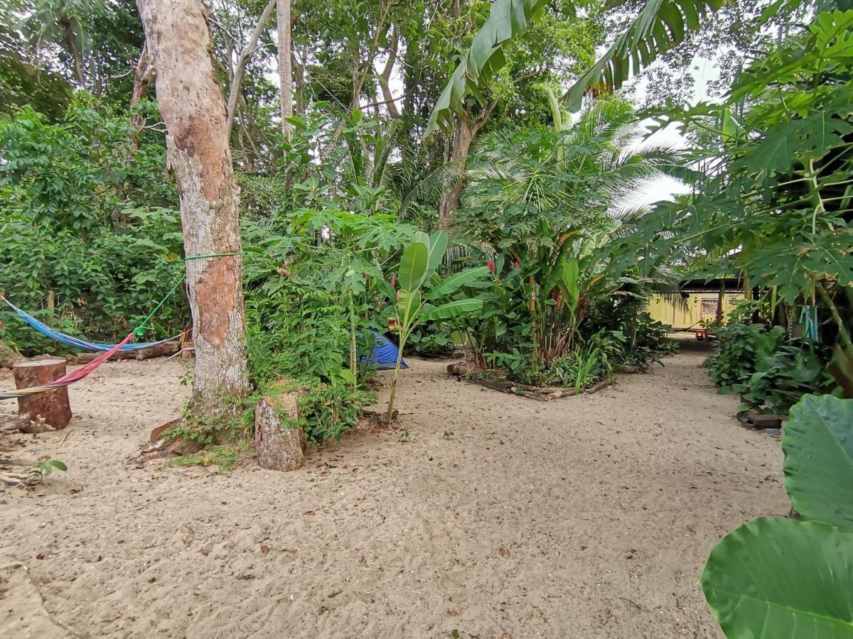 Oasis Hostel Puerto Viejo de Talamanca Buitenkant foto
