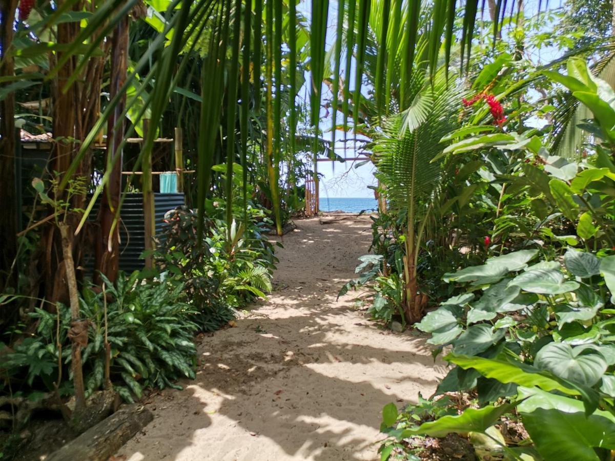 Oasis Hostel Puerto Viejo de Talamanca Buitenkant foto