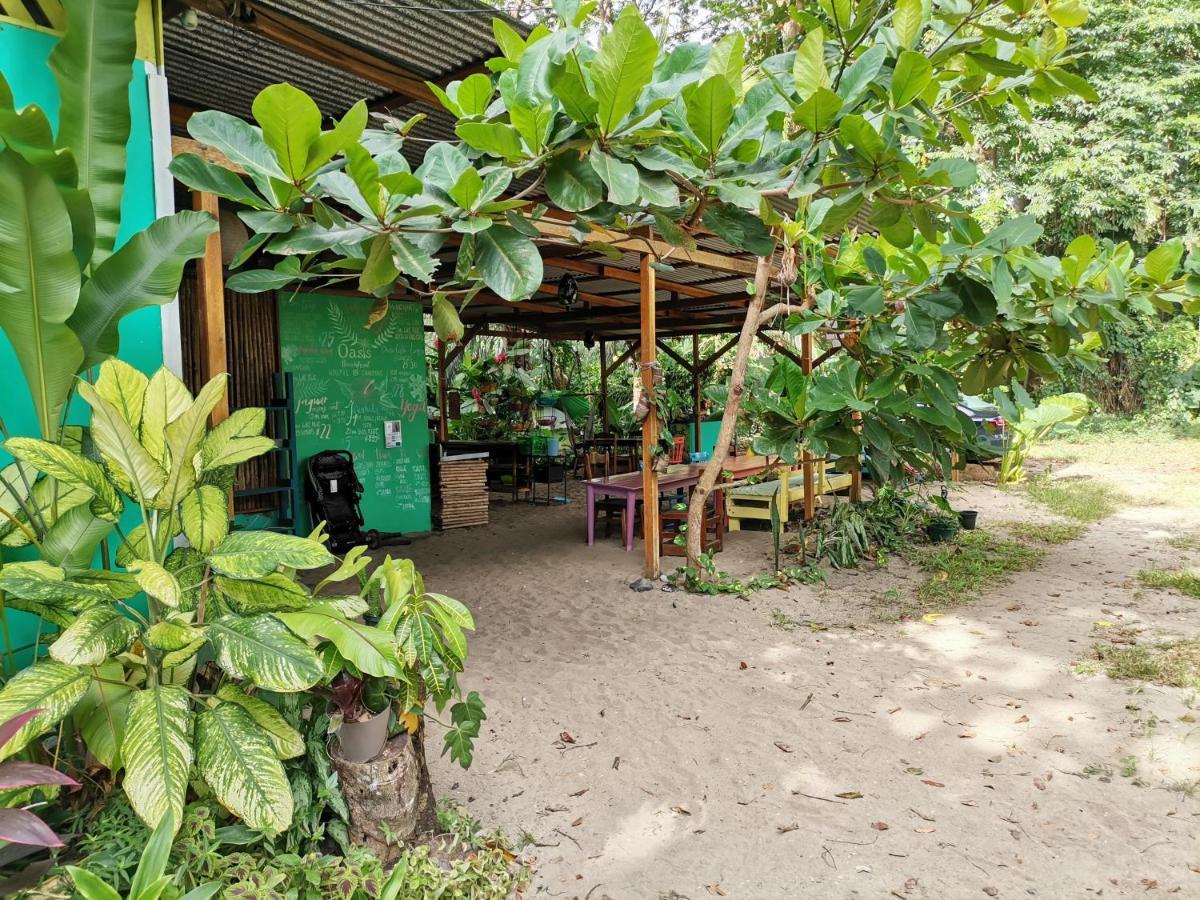 Oasis Hostel Puerto Viejo de Talamanca Buitenkant foto