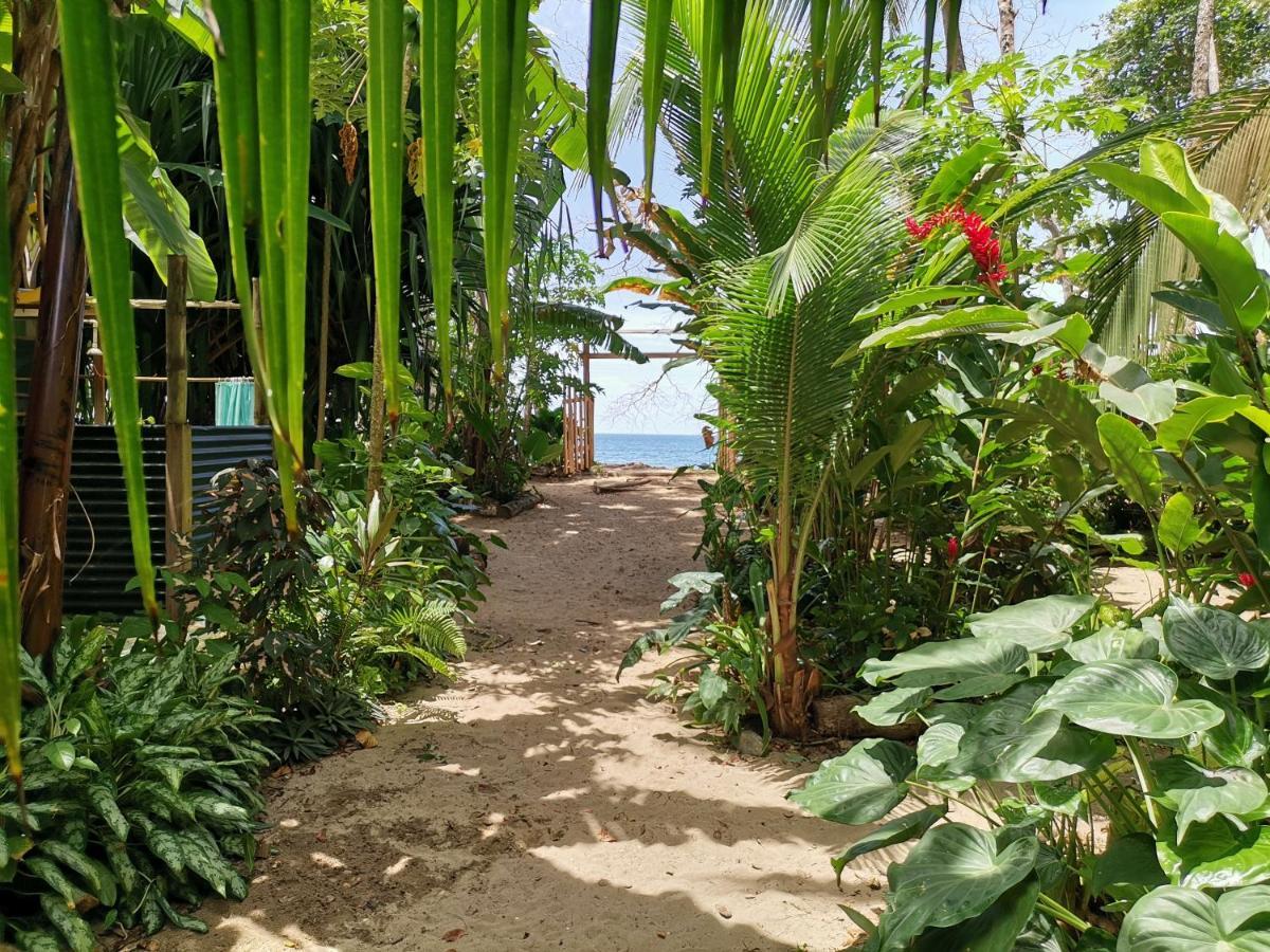 Oasis Hostel Puerto Viejo de Talamanca Buitenkant foto