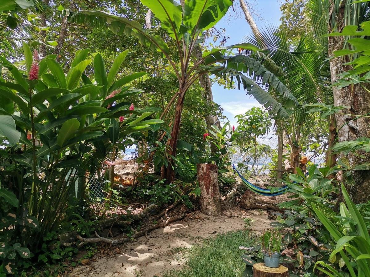 Oasis Hostel Puerto Viejo de Talamanca Buitenkant foto