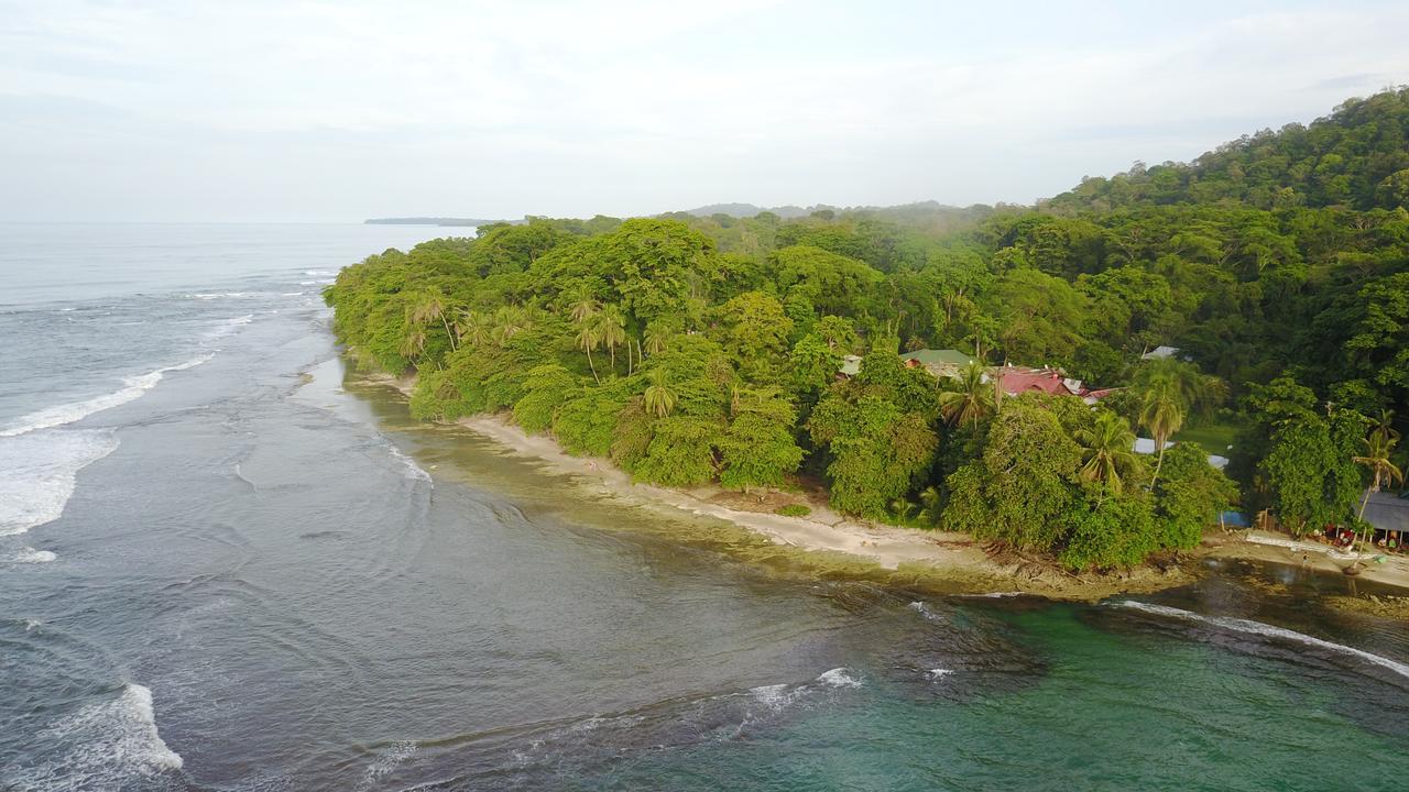 Oasis Hostel Puerto Viejo de Talamanca Buitenkant foto