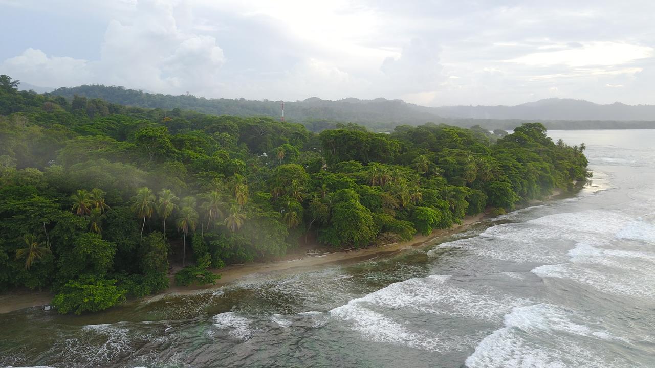 Oasis Hostel Puerto Viejo de Talamanca Buitenkant foto
