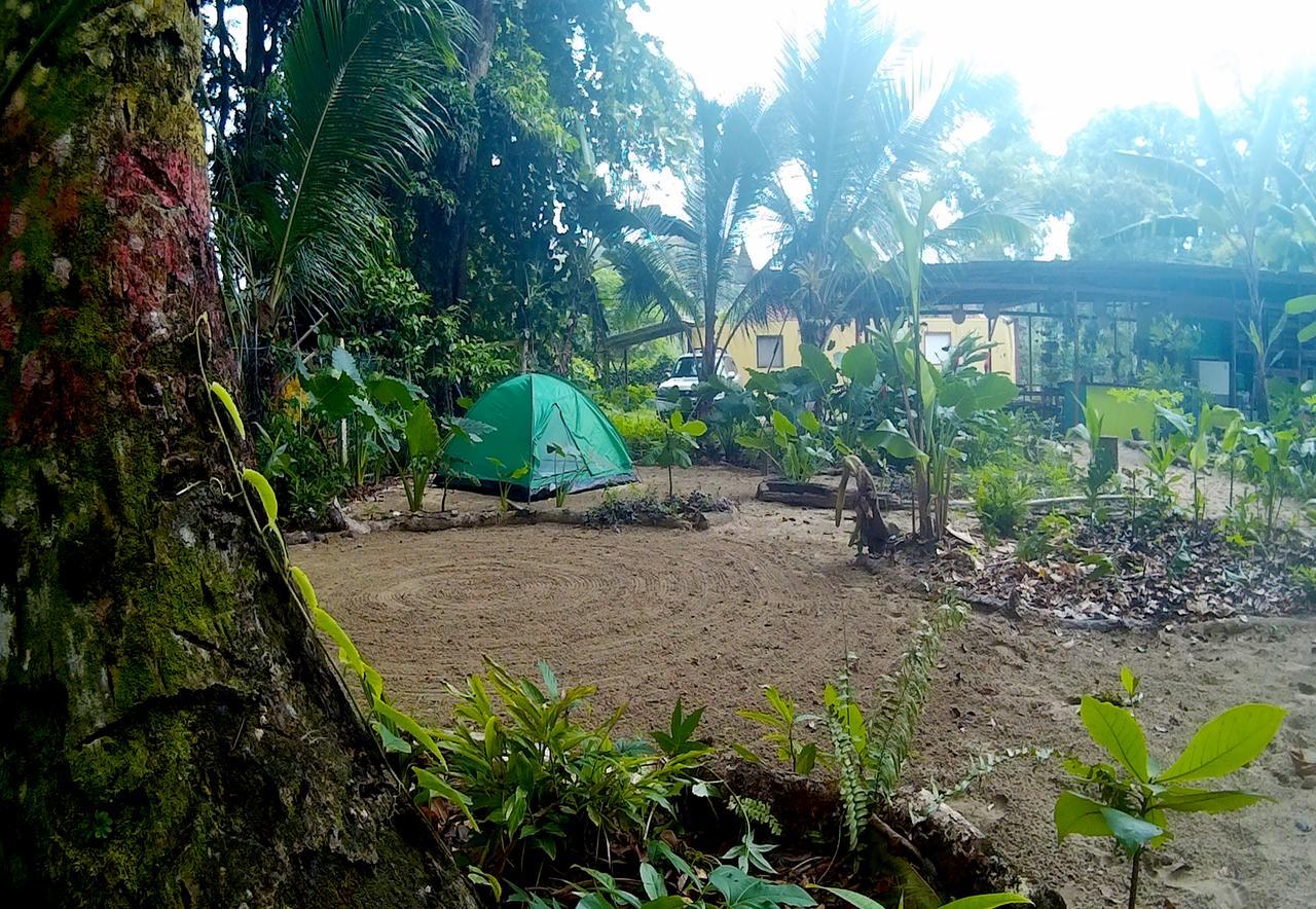 Oasis Hostel Puerto Viejo de Talamanca Buitenkant foto