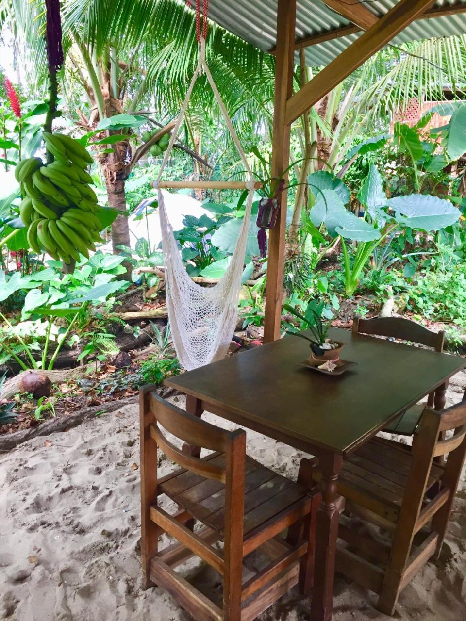 Oasis Hostel Puerto Viejo de Talamanca Buitenkant foto