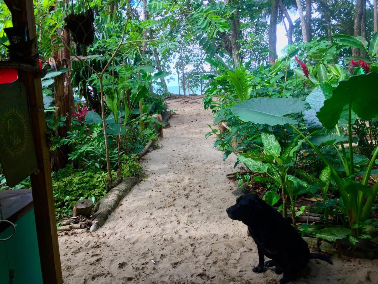 Oasis Hostel Puerto Viejo de Talamanca Buitenkant foto