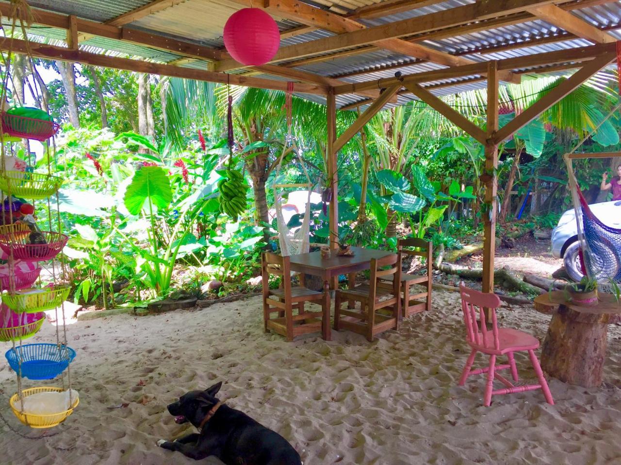 Oasis Hostel Puerto Viejo de Talamanca Buitenkant foto
