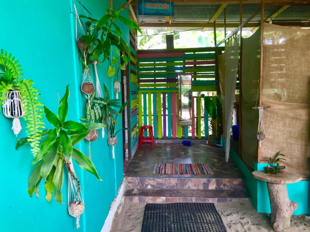 Oasis Hostel Puerto Viejo de Talamanca Buitenkant foto
