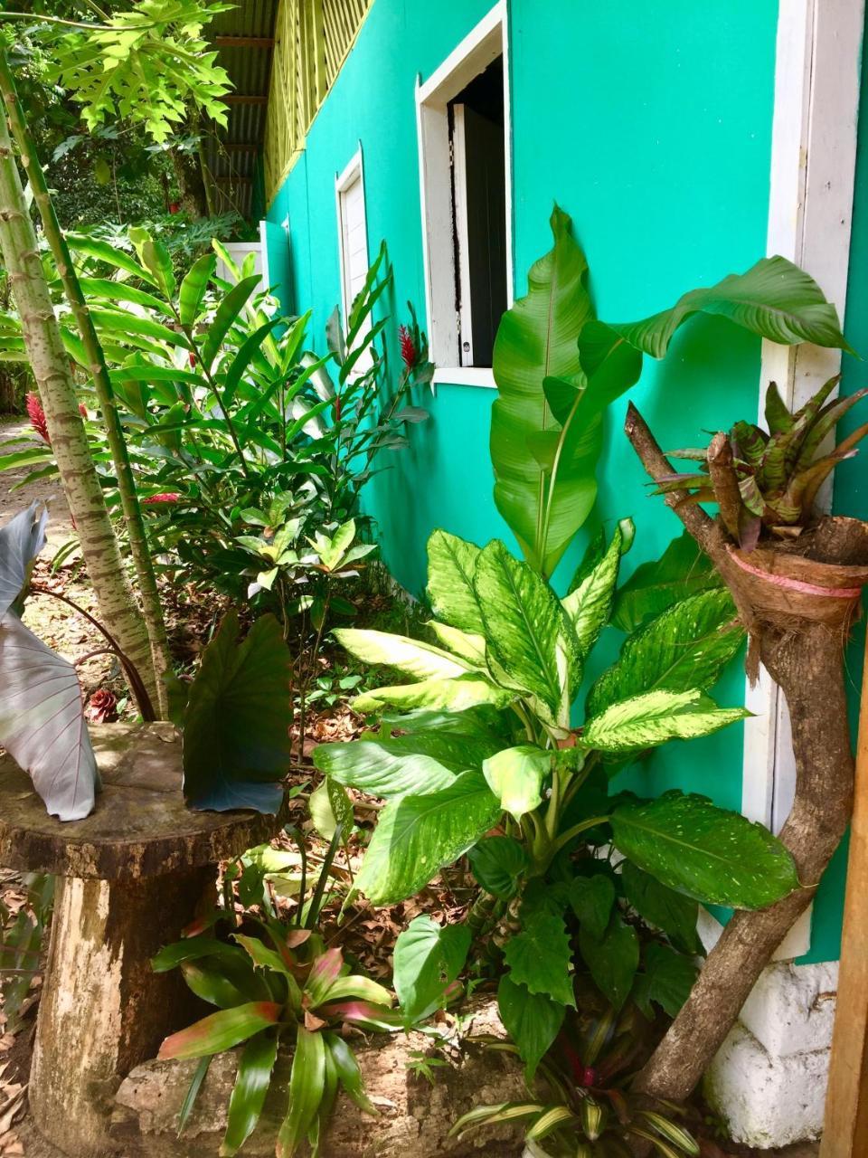 Oasis Hostel Puerto Viejo de Talamanca Buitenkant foto